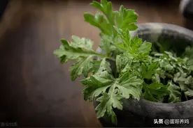 老兽医：家禽必备的四季套餐，一年四季都会用，农村养鸡收藏备用图片