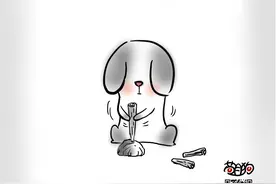 苟且狗 | 爱情是婚姻的基础，物质是爱情的基础图片