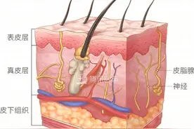 晒黑后白不回来？可能是你没做这8件事图片