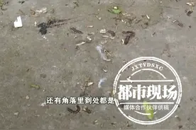 家中出现上百只虫 密密麻麻爬满墙！户主好受苦图片