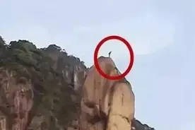 3人爬巨蟒峰前说“我已打算好被抓了”！结果，判刑+罚款600万！图片