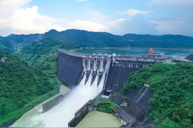 百色水库：蓄水16年养出“一身病”，以鱼保水“对症下药”？图片
