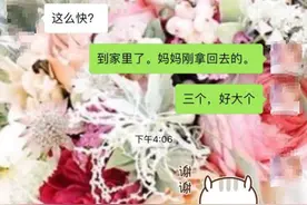 同样是住在手机里，看人家的兵哥怎么把媳妇宠上天图片