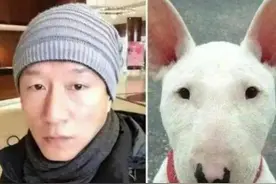 不许笑！中外明星与动物撞脸合集图片