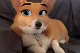 给狗狗用这款滤镜拍照，拍出来的样子跟迪士尼动画片里一模一样图片