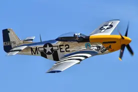 【航空史话】马作的卢飞快——二战美国P-51“野马”战斗机图片