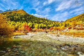 川西旅行记，随时可能逝去的秋天童话图片