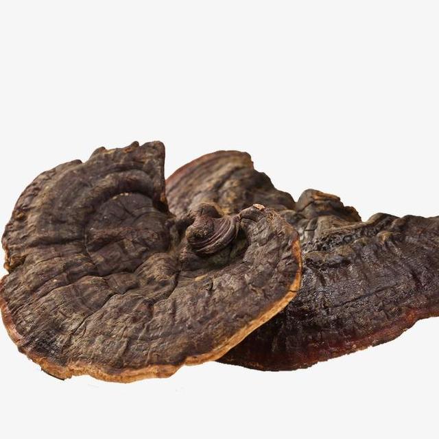 灵芝为什么能治疗失眠？失眠必吃灵芝的6大原因