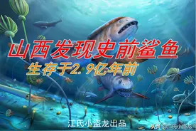 山西发现2.9亿年前的顶级海洋杀手图片