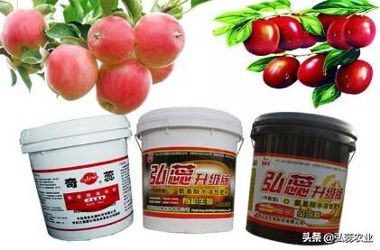 如何驾驭“弘蕊氨基酸”这个大力士