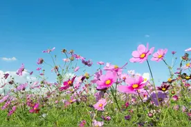 一女人若在这三个时候联系你，她真的不是打扰你，而是爱你、想你图片