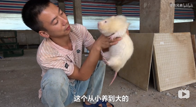 鸡皮疙瘩2在线观看带字