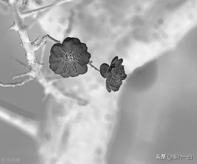 王冕：一个元朝的农民艺术家，一辈子活得又穷又硬气
