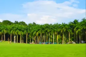 国庆出行 | 南宁这几个网红景点你去过吗？图片