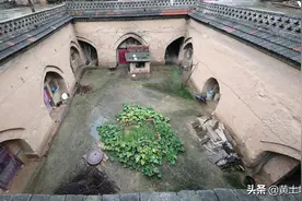 河南一大娘春天在地坑院里随手种了几颗种子，秋天却有了意外收获图片