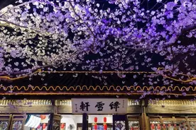 无锡鼋头渚  被誉为“中华第一赏樱地”，夜樱太美了！ ​​​​图片