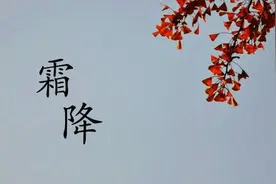 霜降将至，农谚“霜降，瞎撞”是什么意思？“瞎撞”什么呢？图片