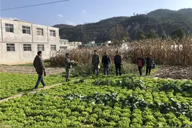 太京镇：攻坚克难 做好征地拆迁工作图片