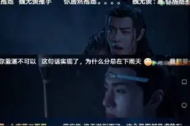《陈情令》表情包解读——搞笑愉快图片