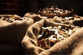 陈皮茶疗：轻轻松松，享受陈皮煮水图片