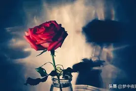 与世无争，白羊座图片