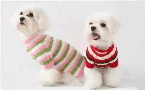 宠粮添加剂的作用一