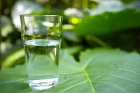 喝了水马上就想尿，是肾脏的问题吗？3个原因别太晚知道图片