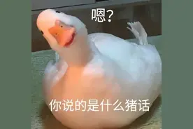 萌娃怼人表情包图片