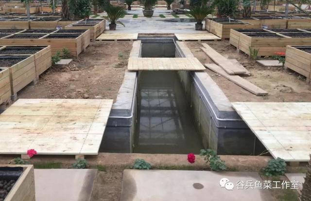 鱼菜共生植物缺素新认知 汇总