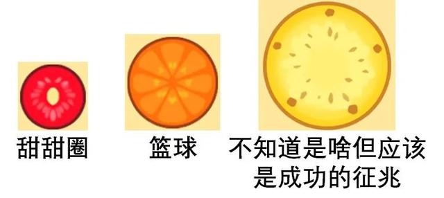 如何随手合成大西瓜，把把1000分？手残必看的高分攻略来了