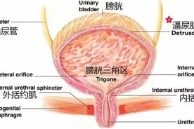 你永远不知道提肛到底多有用，尤其是对男人图片