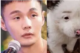 这只长得像狗的狗子叫狗焕，不对长得像狗焕的狗子叫狗，哎算了！图片