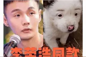 这只长得像狗的狗子叫狗焕，不对长得像狗焕的狗子叫狗，哎算了！图片
