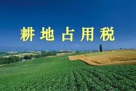 耕地占用税已于9月1日开征。如何收集？农民宅基地会被征收吗？图片