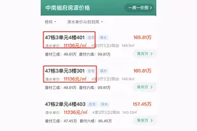 房价只比地价贵56元，中南·樾府“割肉回血”？图片