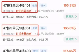 房价只比地价贵56元，中南·樾府“割肉回血”？图片