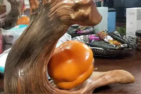 龙蟒神舟一号图片