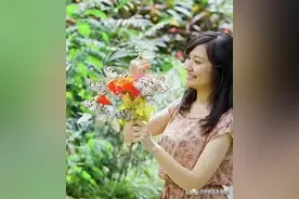五一去兰州新区长城影视城踏青赏花看蝴蝶，全城女士免费门票送！图片