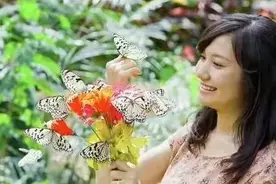 五一去兰州新区长城影视城踏青赏花看蝴蝶，全城女士免费门票送！图片