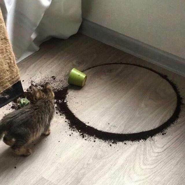 20ŸЦͼƬ֤èԺҵжôḻʡ