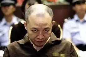 广州枭雄的不归路：性格跋扈，行为嚣张，恐吓民警，终判死刑图片