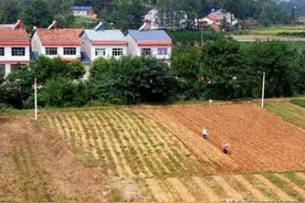 农村家庭，父母去世，非农户子女能继承父母的承包地和宅基地吗？图片