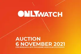 2021年only watch慈善拍卖会 新品速鉴图片