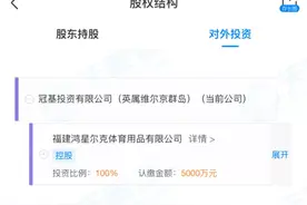 类似鸿星尔克这样境外企业控股的中国电梯公司该回归民企身份了图片
