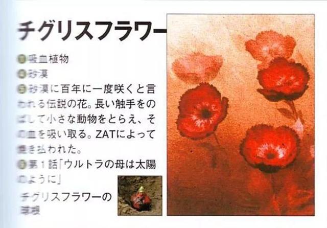 泰罗奥特曼怪兽百科