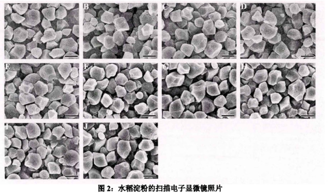 米饭脱糖概念真的全是伪科学？——还得看实际产品