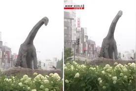 日本天气预报拍到“恐龙鞠躬”，观众懵了：等等……天气好像不是重点图片