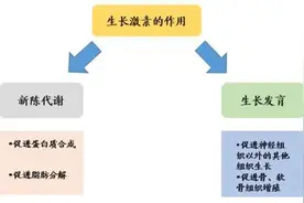生长激素会让人长胖吗？图片