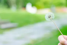 偷偷地想你，偷偷地爱你，你是我余生里，唯一的执着图片