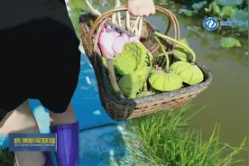 株洲醴陵：秀色可“餐”荷花宴图片